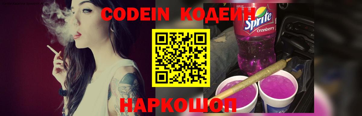 A PVP Котлас